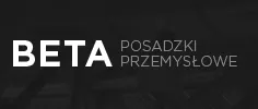 Strona www Posadzki betonowe BETA SYSTEM